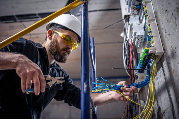 Best Electric Panel Repair  in Grand Marais, MN